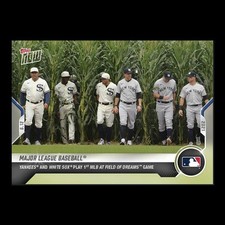 Yankee Greats: 100 Classic Baseball Cards Book Review 17