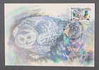 MayfairStamps Russia FDC 1990 Bird of Prey First Day Cover aax_85325