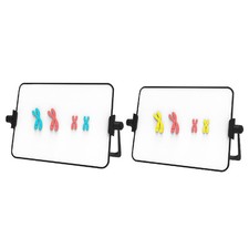 Meiosis Chromosome Change Model Kit Demonstration Instrument Easy Assembly