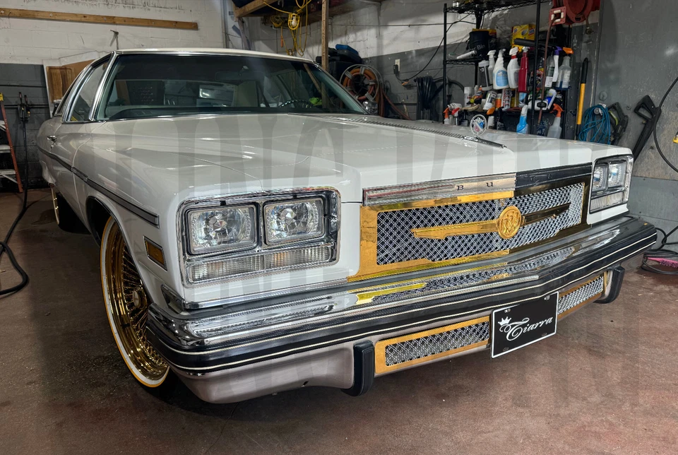 Buick Electra 1976 parrilla cromada chapada en oro malla de doble tejido rejilla Tiarra 3 piezas Foto 3 de 4