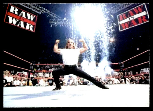 Shawn Michaels 1998 Comic Images WWF Superstarz #13