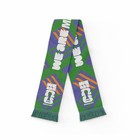 FIFA World Cup 2026 CDMX Soccer Supporter Scarf "We Are Mexico City" Ciudad Mex — photo 1