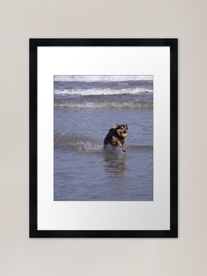 Loyal Friend Framed Art Print Framed Wall Art Poster Canvas Print Picture