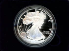 2021-W American Silver Eagle Proof Type 1 1 Oz Silver Coin OGP Box & COA