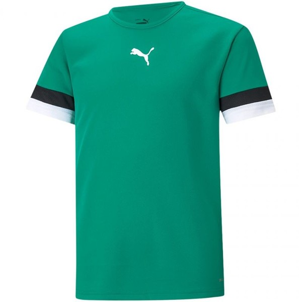 Koszulka Puma Teamrise Jersey Jr 704938 05 - 140 Puma-image