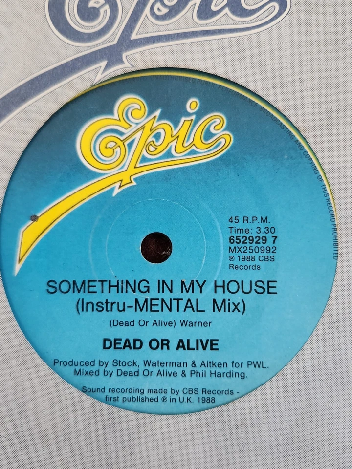 Dead Or Alive "Turn Around & Count To Ten" 1988 EPIC Oz 7" 45rpm - Image 2 of 2