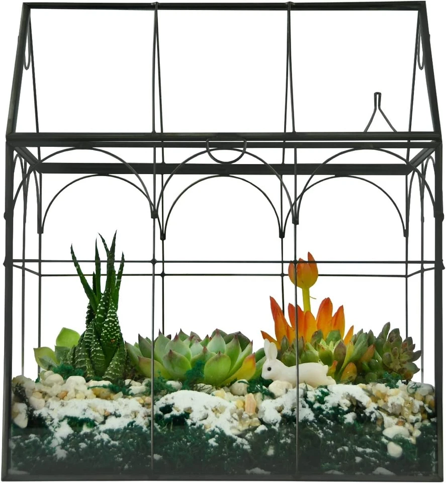 Large Tall Plant Greenhouse Terrarium Glass with Lid, 8.7"X5.9"X10.6" Inches Ind - Image 4 of 4