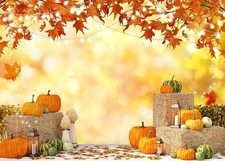 Gold Autumn Cool Sunset Backdrop Fall Thanksgiving Party House Decoration 8x6FT