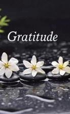 Gratitude - Paperback By Editors of Publications International Ltd - GOOD