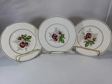 3 Spode Copeland transferware Staffordshire desert plates