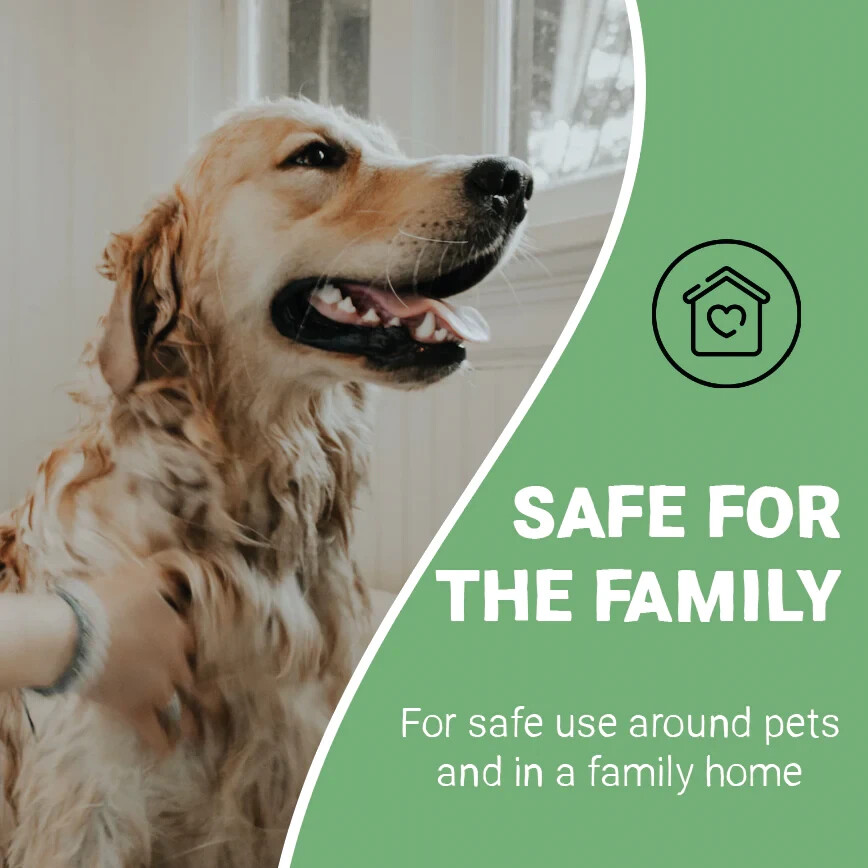 Wet Dog Odour Spray Deodoriser Instant Smell Neutraliser Natural Pets wet-dog-odour-spray-deodoriser-instant-smell-neutraliser-natural-pets