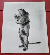 Vintage Original Wizard of Oz Bert Lahr Cowardly Lion by Clarence Bull Photo '39