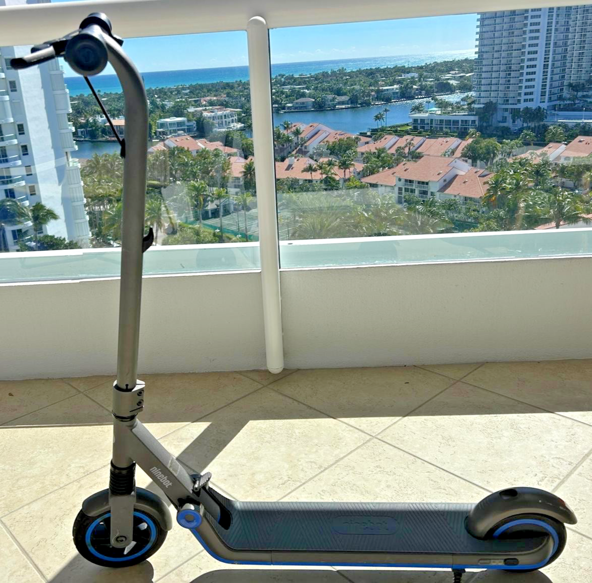 Segway Ninebot eKickScooter ZING E10 Electric Kick Scooter | eBay