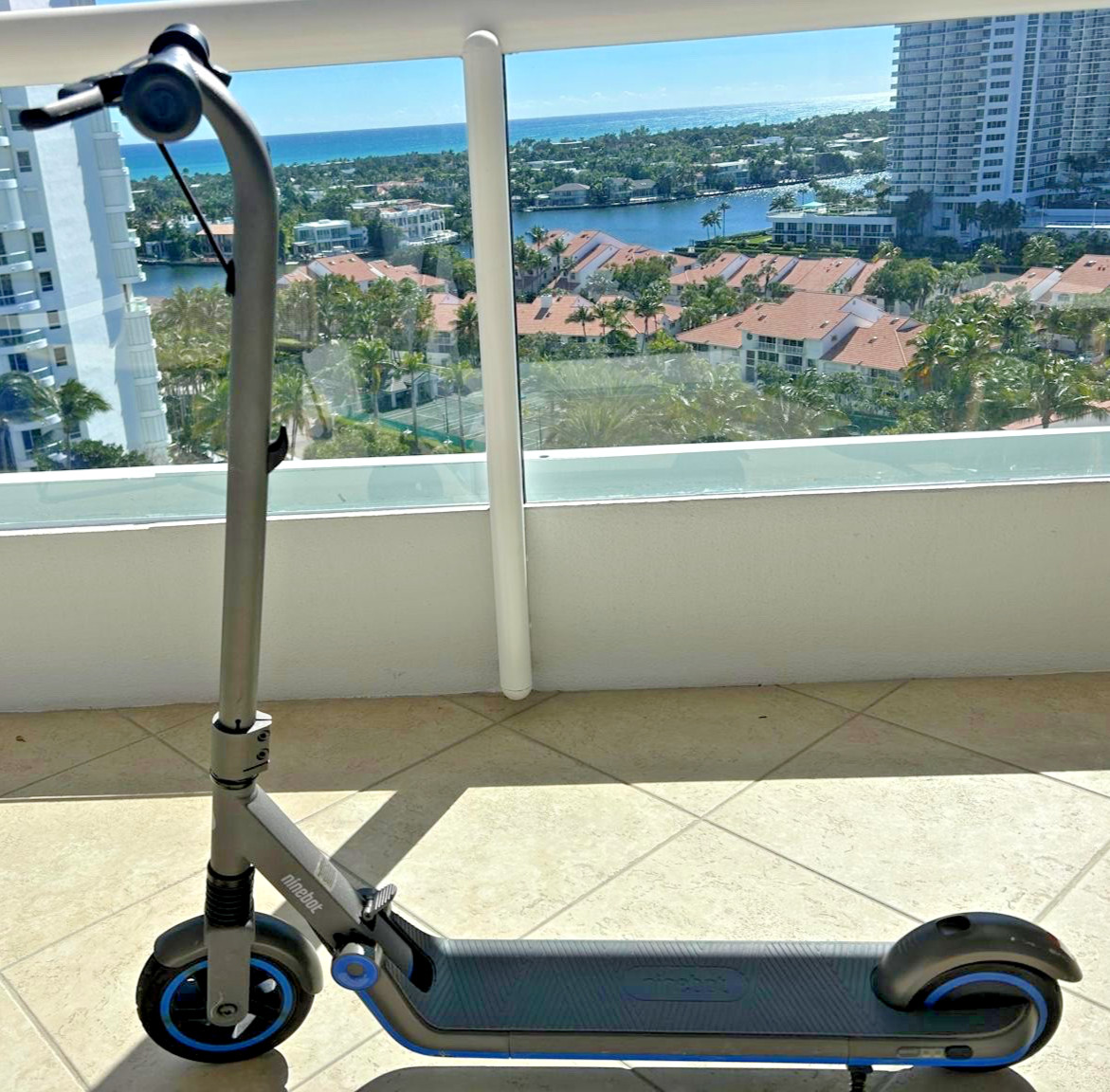 Segway Ninebot eKickScooter ZING E10 Electric Kick Scooter