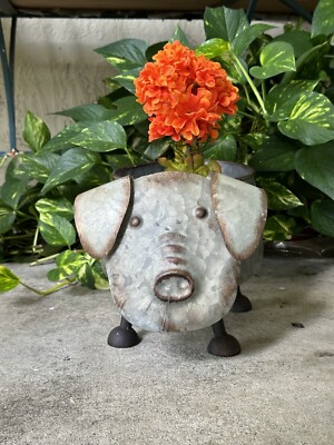 Rustic Galvanized Pig Planter New Inside/Outside Zaer Ltd.