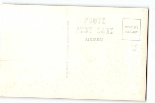 Postal RPPC The Founders Tree 364 pies de alto Dyerville Flats California década de 1940 - Imagen 2 de 2