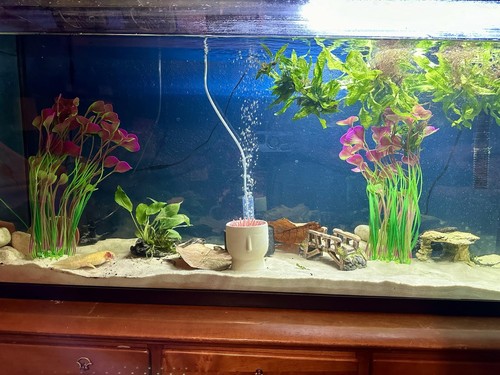 Fish Tank Decoration Plants Aquarium Ornament Safe for All Fish 2 Pieces - Picture 4 of 4