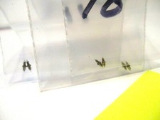 6 HAMILTON 12 SIZE 1250 A POCKETWATCH BALANCE STAFFS "PIVOT-10/12"  B-9