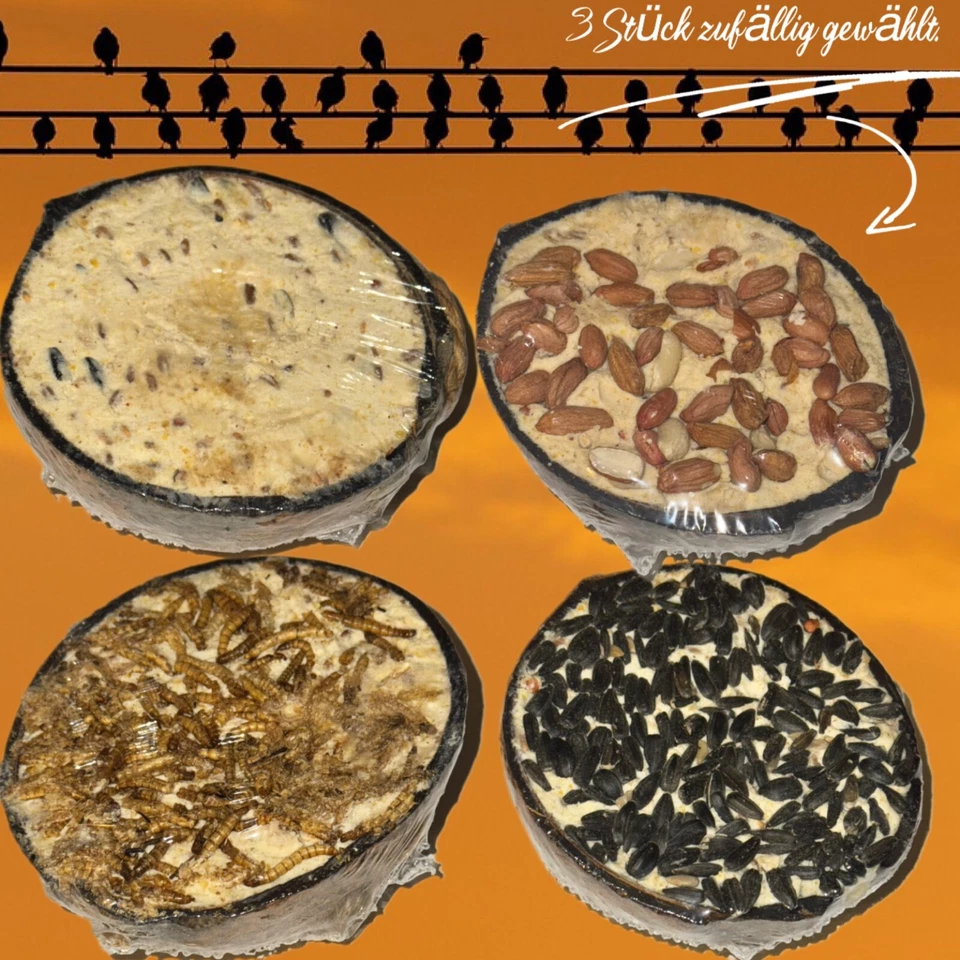 LYRA-PET Vogelfutter Halbe Kokosnuss Gefüllt Wildvögel Mit Topping 3 Stück Fettfutter