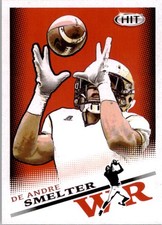 2015 SAGE HIT #115 DeAndre Smelter - FB
