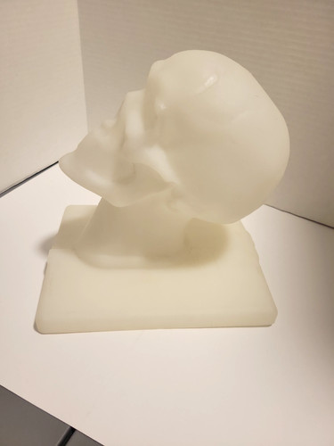 3D PRINTED Life Sized Human Skull Hard Plastic Halloween