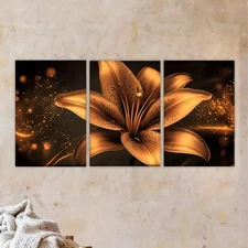 3pcs  A flower with a black background  Wall Art Canvas Framed 50x70cm