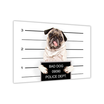 Bad Dog Line Up Leinwand Wandbild Bild Druck