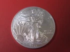2013 One Ounce Silver AMERICAN EAGLE Mint State Coin