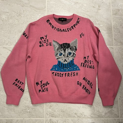 Teddy Fresh Sweater Pink My Best Friend Cat Gary Kennedy Intarsia Pullover XL - 第 1/4 張圖片