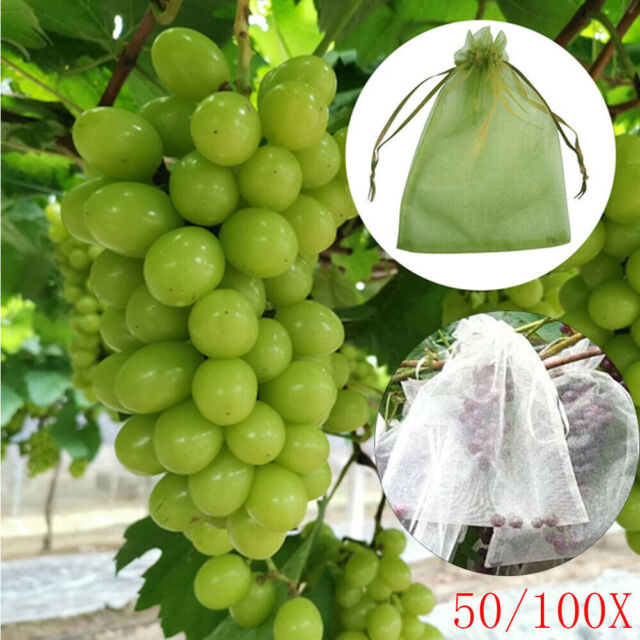 50/100Stk Trauben Schutz Taschen Obst GemÜSe Insekten Netz Beutel Aufbewahrungs