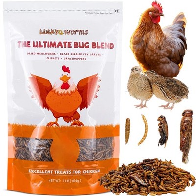 1 LBS Dried Insect Trail Mix High Protein for Chickens Reptiles Natural Treat