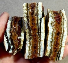 Rare Hellsfire Seam Agate Rough! Nevada