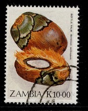 ZAMBIA QEII SG599, 1989 10k bottle palm, FINE USED.
