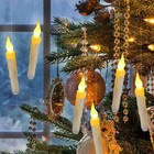 Bild 12 von 12