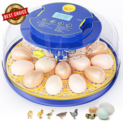 18 Chicken Egg Incubators for Hatching Eggs: Egg Incubator with Automatic Egg Tu