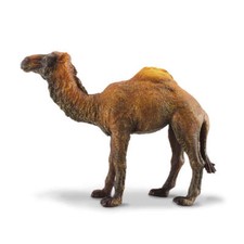 CollectA Realistic Animal Replica Dromedary Camel Figure Large Ages 3 and Up