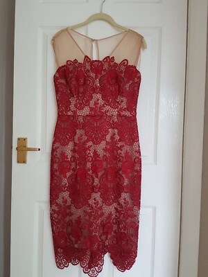 Phase Eight Anais Scarlett Nude Lace Dress Size 10 BNT | eBay