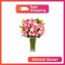 Pink Rose and Alstroemeria Bouquet - (Glass Vase Included) - Fresh Cut Flowers f