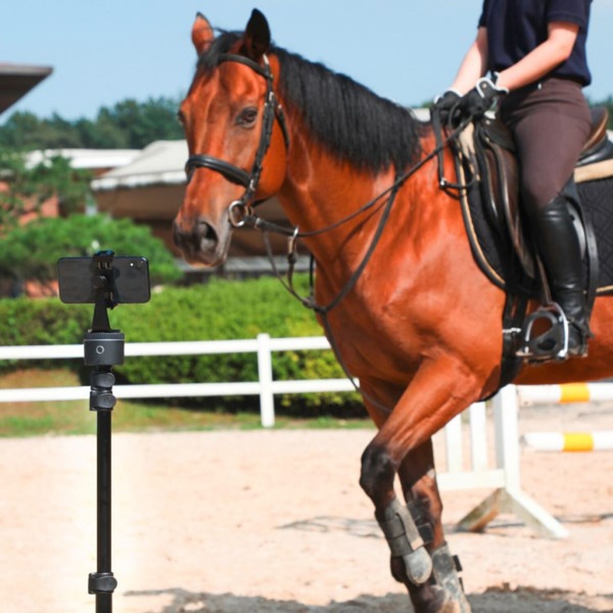 vozol energy drink vape Pivo Pod Silber Equestrian 360° Auto-Tracking Stativ für Pferde main image 1