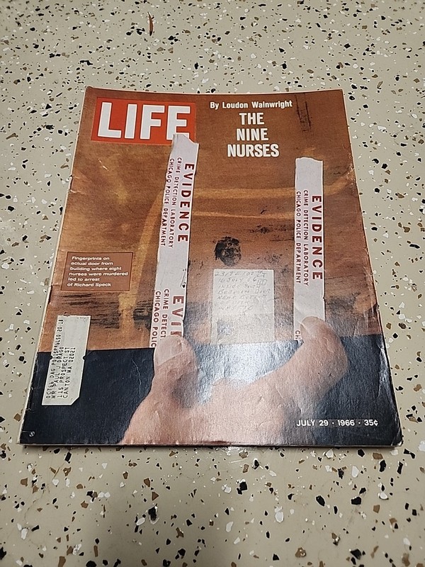 Life Magazine July 29 1966 60th Birthday Present Nine Nurses, Ray Charles
