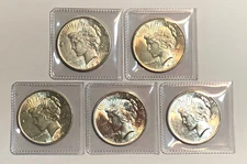 Lot of 5 AU $1 Silver Peace Dollars, Common Dates and Mint Marks