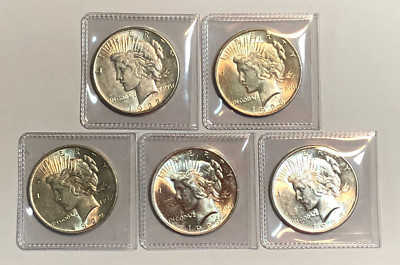 Lot of 5 AU $1 Silver Peace Dollars, Common Dates and Mint Marks