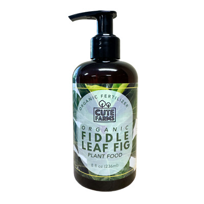 Organic Fiddle Leaf Fig Plant Food
