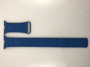 apple watch cape cod blue