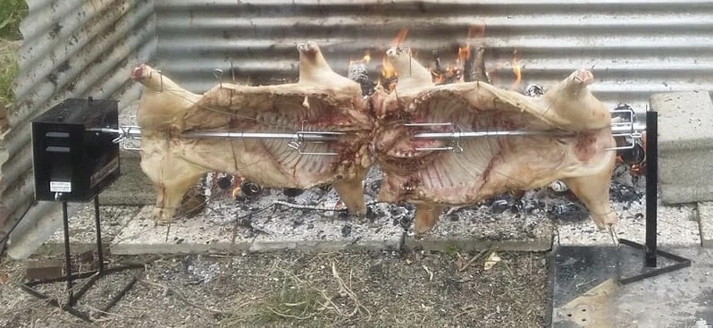 Girarrosto 220v Velocita Variabile 120 cm - ALLEGRI®  - Immagine 2 di 4