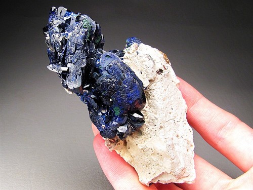 Azurite Milpillas Mine Municipio de Santa Cruz Sonora Mexico - Picture 7 of 7