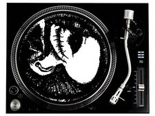 Rudimentary Peni Fetus Slipmat