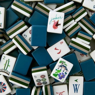 MIDNIGHT GARDEN Premium American Mahjong Tiles Set 160pcs 4-Layer Acrylic - NEW