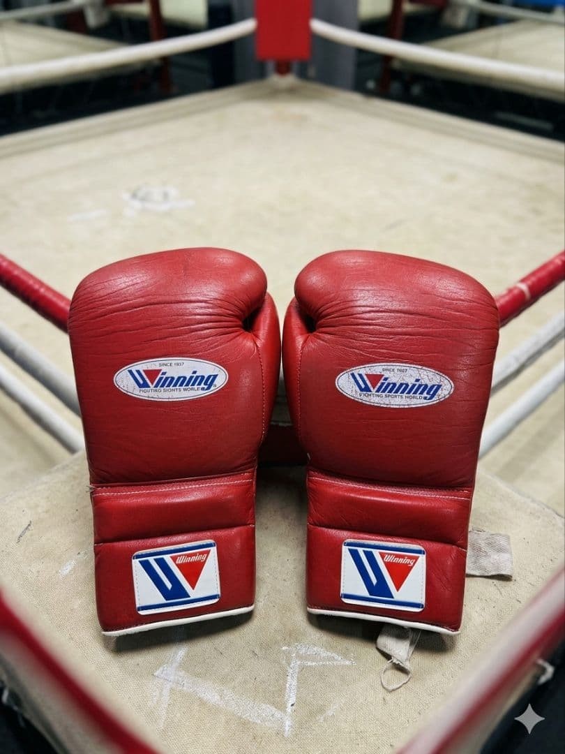 Winning Boxing Gloves MS-500 14 oz Lace-up Professional Type Red