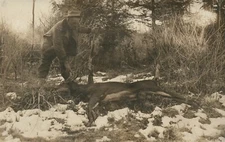 DEER HUNTER w/ RIFLE ANTIQUE REAL PHOTO POSTCARD RPPC